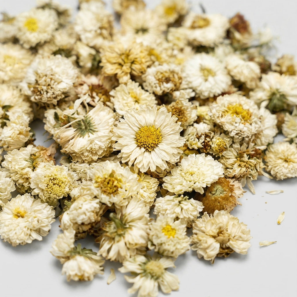 Chrysanthemum Flowers
