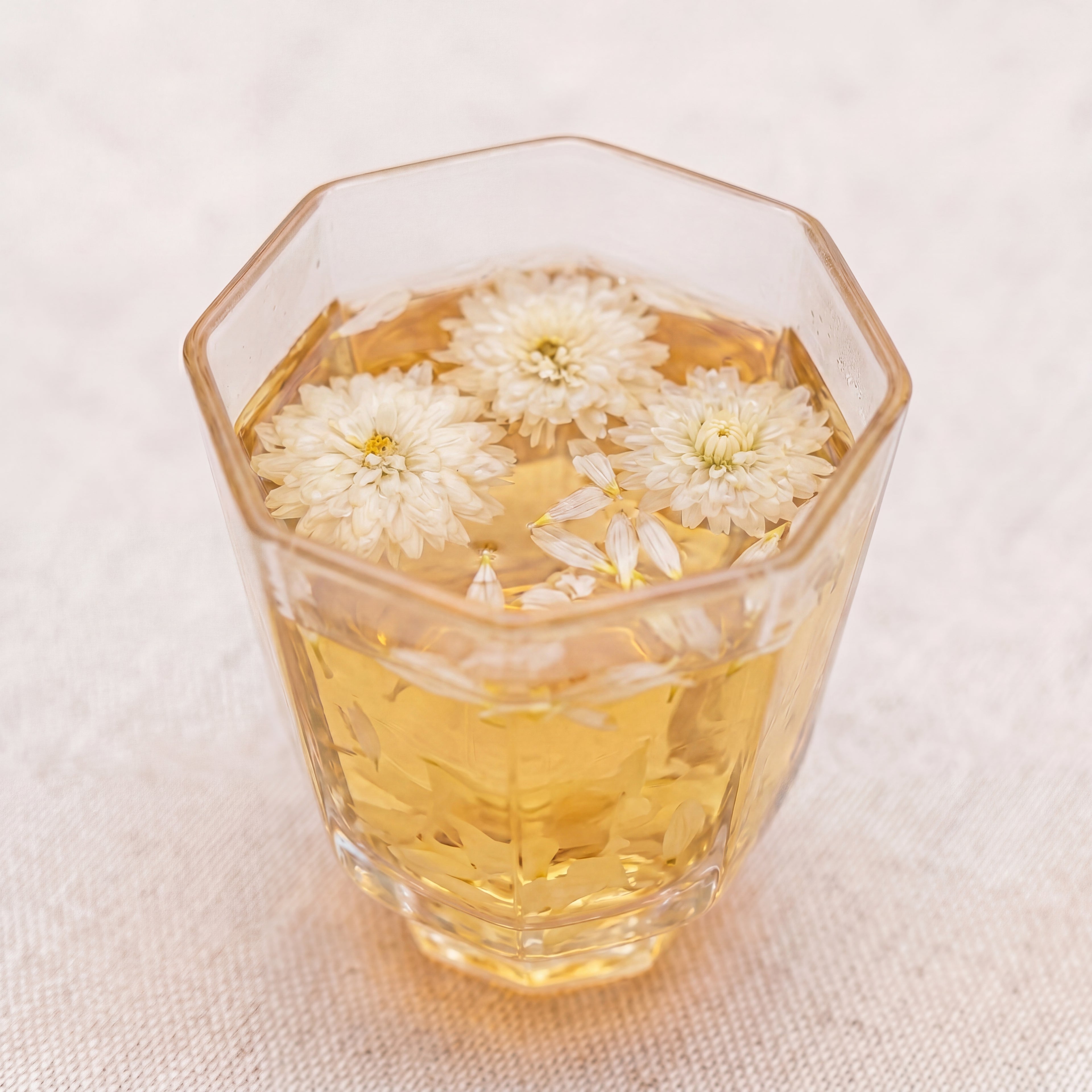 Chrysanthemum Flowers